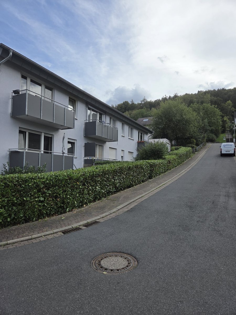 Lange Kirschlorbeerhecke entlang eines Gehwegs nach dem Schnitt